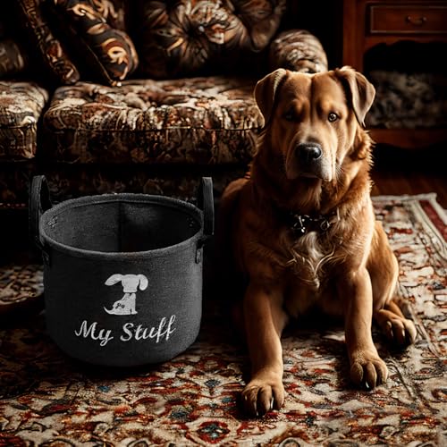 TSQZE Haustier Spielzeug Organizer Box, Katzenspielzeug Boxen Mit Griffen, Welpen Sachen Korb Filz Aufbewahrungsbox, Organizer Für Die Organisation Von Haustierspielzeug, Decken, Leinen (Hunde)