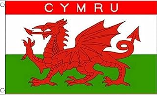 AZ FLAG Wales Cymru Flag 2' x 3' - Welsh flags 60 x 90 cm - Banner 2x3 ft