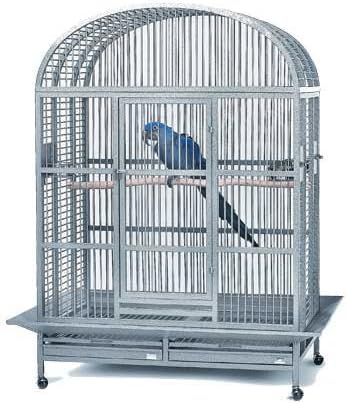 Avian Adventures Hacienda Dometop Bird Cage - 48" X 34" X 70" - Pearl White