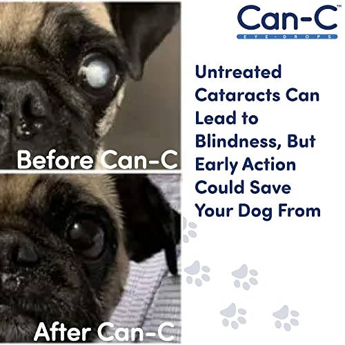 Can-C Dog Eye Drops - Dog Cataract Eye Drops with N-Acetylcarnosine - Normalize Cataract Impairment in Older Dogs - Refreshing Ophthalmic Treatment for Dry Eyes, Allergy Relief, Scratch and Wound Care