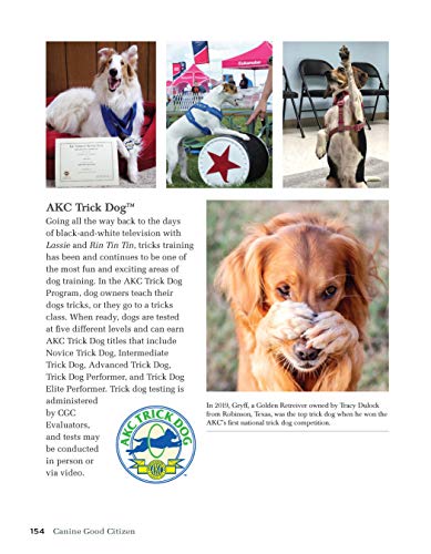 Canine Good Citizen: The Official Akc Guide, 2Nd Edition: Ten Essential Skills Every Well-Mannered Dog Should Know (Companionhouse) How To Train, Practice, And Pass The American Kennel Club's Cgc Test #TOP6