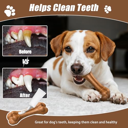 Jouet de dentition pour chien saveur bœuf résistant lot - 14