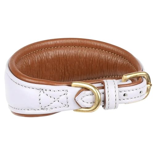 Digby & Fox - Collar para Galgos de Cuero Acolchado (S - Neckline: 25 cm-28 cm) (Lila)