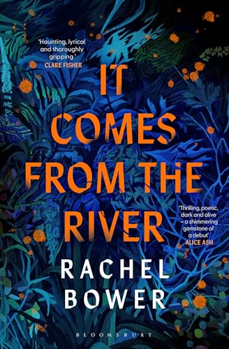 It Comes from the River view 2