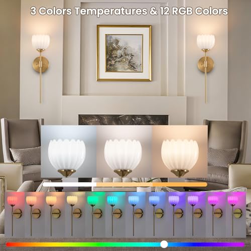 Image of Vintage Battery Operated Wall Sconce Set of 2, Wall Lights with RGB Dimmable Bulbs and Remote,Rechargeable LED Wireless Wall Lamps for Living Room Hallway Bedroom
