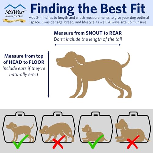Image of Pet Carrier: Hard-Sided Dog Carrier, Cat Carrier, Small Animal Carrier in Blue| Inside Dims 17.91L x 11.5W x 12H & Suitable for Tiny Dog Breeds | Perfect Dog Kennel Travel Carrier for Quick Trips
