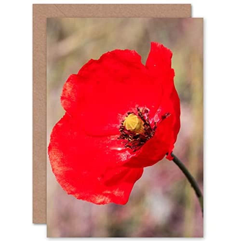 Fine Art Prints Bright Poppy Photo Greeting Card With Envelope Inside Premium Quality