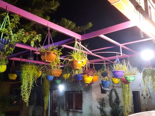 Nylon Hanging Planter Rope | Pack of 6 | Hanging Basket Holder | Flower Pot Hangers for Outside and Indoor | Replacement Plant Hanging Rope (24 Inches, Multicolor)