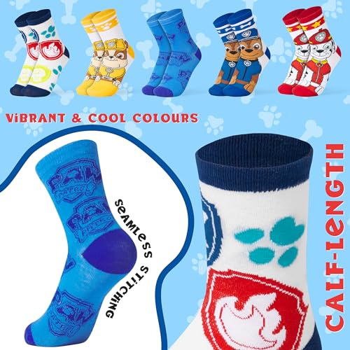 Paw Patrol Boys Calf Socks, Soft Breathable Kids Socks Pack of 5 - Boys Gifts4