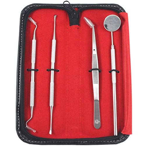 Professional Dental Tools - Dental Pick, Dental Scaler for Tartar Plaque Remover Tooth Cleaner Teeth Scraper Dentist Hygienist Kit Sickle Scaler Teeth Cleaning Set Stainless Steel 4 Pc By Krisp Beauty