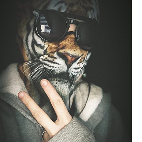 Image of WTACTFUL 3D Animal Ears Balaclava, Breathable Face Mask for Halloween