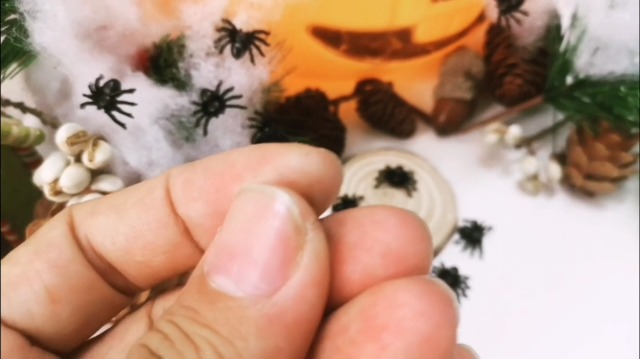 30 Ragni Finti Halloween - Plastica Realistica, Decorazioni Horror Per Feste - Foto 9