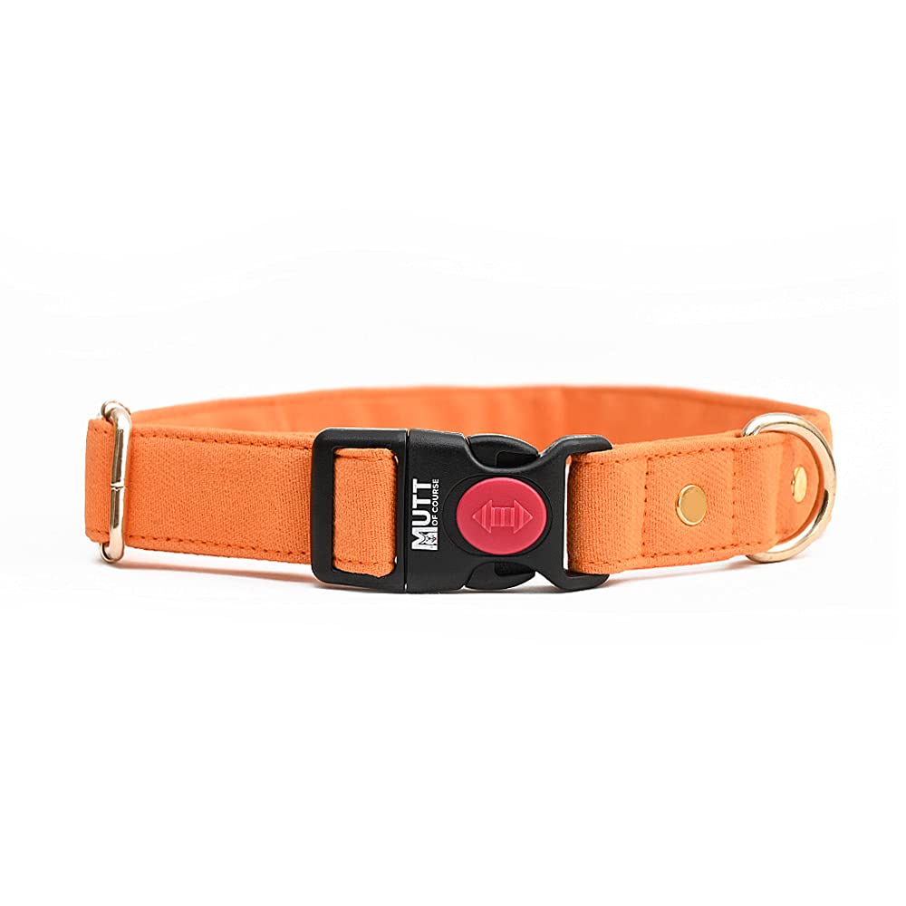 See full amazon price history chart for Mutt of Course Gooseberry Water-Resistant Collar (Orange) (Medium) Mutt of Course Gooseberry Water-Resistant Collar (Orange) (Medium) (B0843P9FF9) Amazon Price History, Amazon Price Tracker