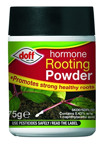Doff Rooting Powder 75g