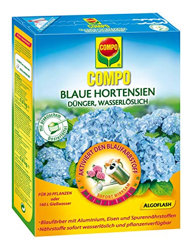 COMPO COMPO Blaue Hortensien