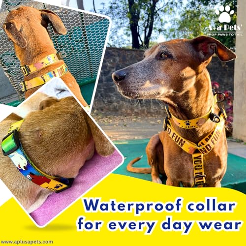 Image of A+a Pets' Beachy Vibes' Collar for Dogs & Cats | Adjustable Waterproof for All Breeds (Blue, L)