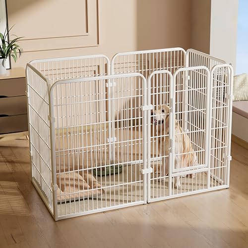 AOUGNybgtFXAQ[gttFXAEh~AgݗĊȒPAHsvA_ȃCAEgA̐ڑIvVA^A^A^ɓKĂAłOłgp\ (6g [160 80 100cm],zCg)