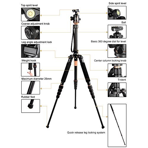 Andoer Przenośny statyw 153 cm/60 cali statyw ze stopu aluminium monopod monopod z głowicą kulową do aparatu Canon Nikon Sony DSLR