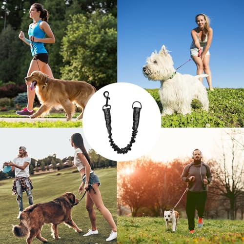 Elastische Hundeleine Ruckdämpfer für Hunde Leine - Nylon-Kurzleine mit Reflektorgarn, Dämpfung beim Fahrradfahren, für mittlere und große Hunde (2.5 * 42cm)