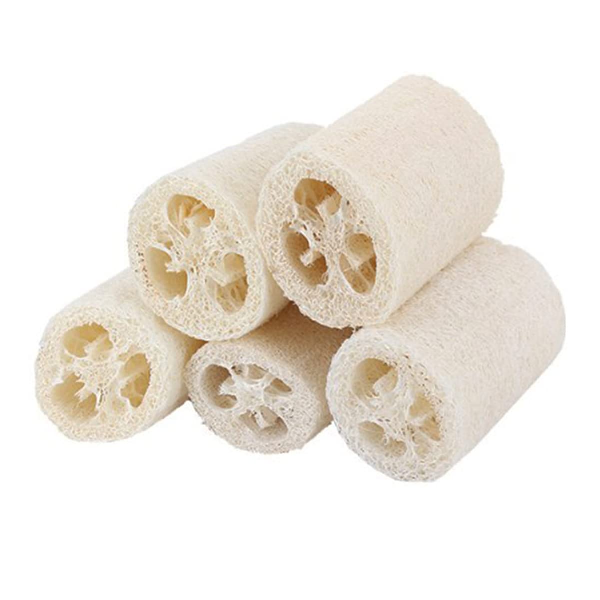 FRCOLOR 10pezzi Spugne Loofah Per e Doccia Scrub Per Esfoliante Fibroso Per La Della e