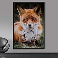 Framed Canvas Wall Art Red Fox Animals Contemporary Expressive Fox Living Room Multicolor Photography - 16x24 inches