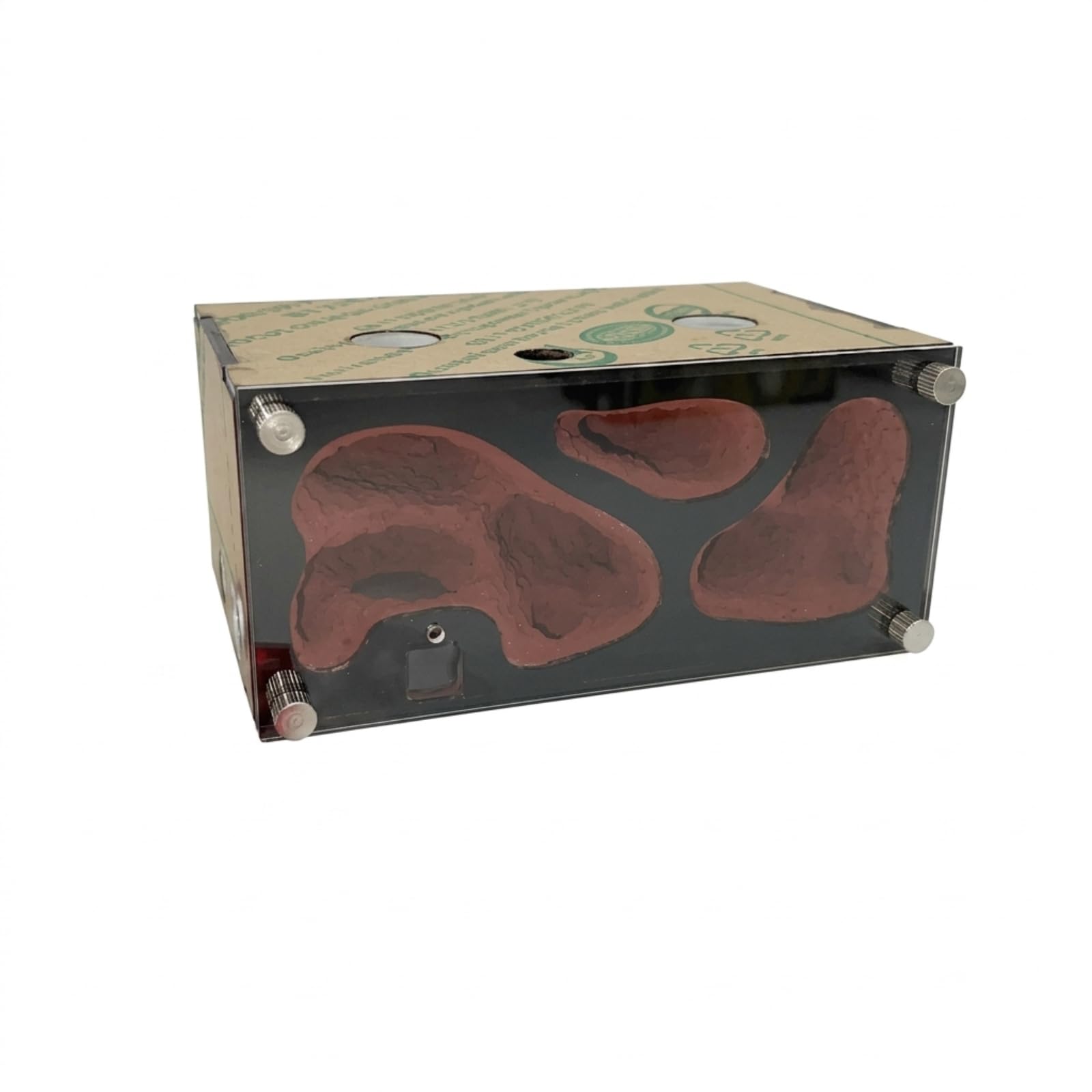 Formicario Modulabile Contenitore Habitat Formiche Nido Formiche Fattoria Insetti con Porte per Collegamento Ad Altri Moduli E Camera Nido Simulata, Nido A Normale