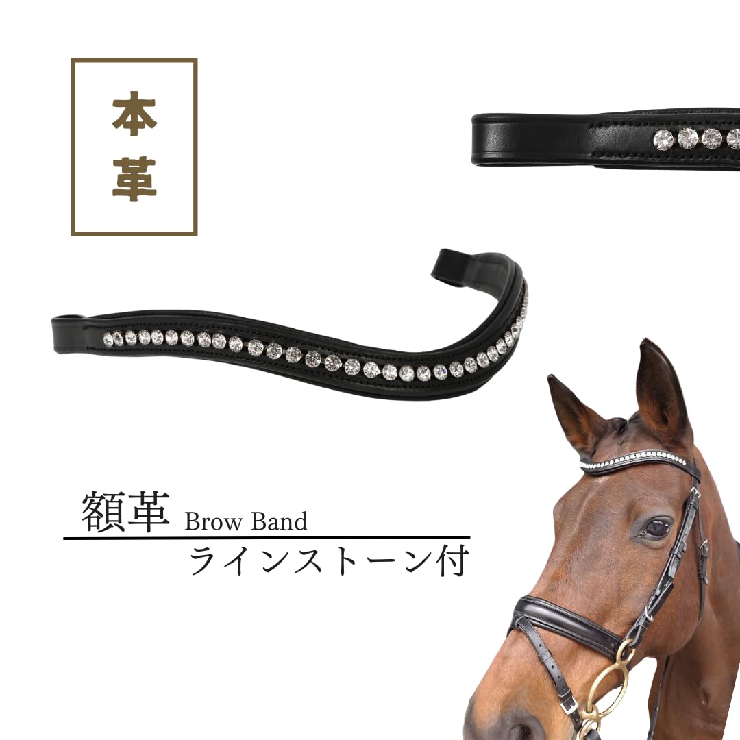 Amazon.co.jp: MIYOA 額革 馬 乗馬 ブローバンド ブロウバンド ライン 