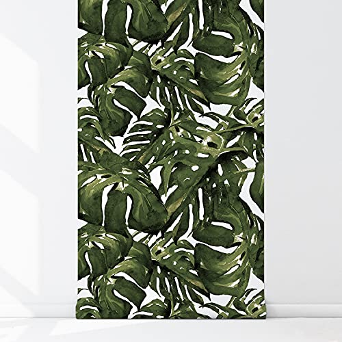 Papier peint monstera leaf nature muralo latex pour deco meuble 250x104 - 5