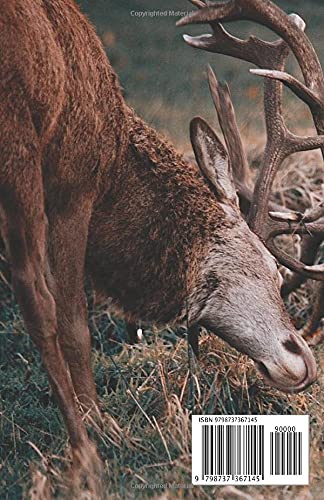 Notebook: Deer journal - Image 2