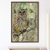 Framed Canvas Wall Art Owl Birds Dramatic Farmhouse/Country Home Office Multicolor Owl Photography - 16x24 inches