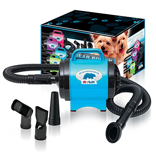 Top 10 Best Pet Dryers for Dogs in 2020 (Portable, Floor and Tabletop)