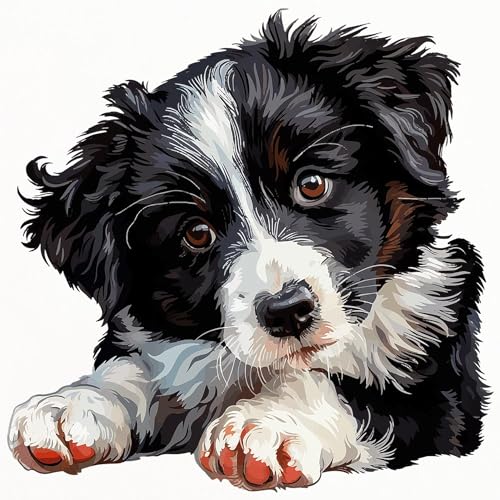 Cartas Póker Café Press Border Collie Tamaño Estándar miniatura 2