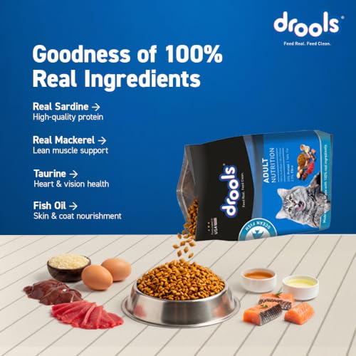 Image of Drools Adult Dry Cat Food 3kg | Ocean Fish | Supports Skin & Fur | Enhances Vision | No Artificial Flavours | Promotes Glossy Coat