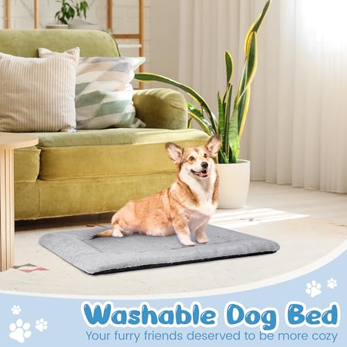 Baodan Hundebett Kleine Hunde Waschbar, 75x50 cm Hundekissen Flauschig mit rutschfeste Unterseite, Hundebetten für Kleine Mittelgroße Hunde, Grau