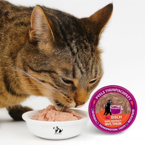 ANIMALUJOS-Lucky Lou Extra Food Filete de Atún en Caldo 70 g – Monoproteína de atún, sin Cereales ni azúcar, Snack húmedo Premium para mimar a tu Gato - 6 Unidades.