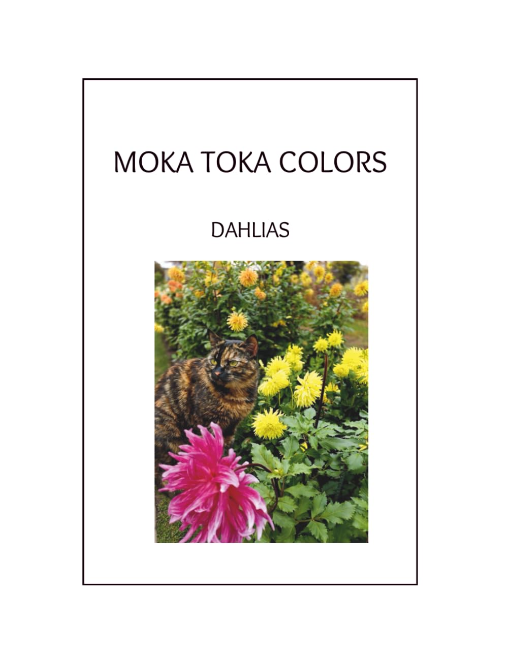 Moka Toka Colors Dahlias: Coloring Book for Adults and Teens Inspired by Real Life Photos of Blooming Dahlias for stress relief and relaxation