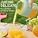 YIHANGG Exprimidor Eléctrico de Cítricos con Popote y Dos Tapas Mini Portátil Licuadora para Batidos de Jugo Fresco Exprimidor de Prensado en Frío con Vasos para Botellas Exprimidor de Limas y Frutas Imagen de YIHANGG Exprimidor Eléctrico de Cítricos con Popote y Dos Tapas Mini Portátil Licuadora para Batidos de Jugo Fresco Exprimidor de Prensado en Frío con Vasos para Botellas Exprimidor de Limas y Frutas