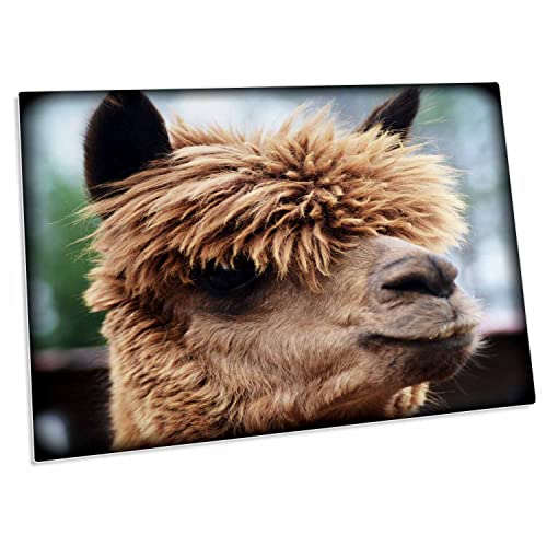 3dRose Desk Pad con foto de lama 58.4x40.6 cm
