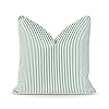 Hofdeco Premium Coastal Patio Indoor Outdoor Pillow Cover Only 20×20 Water Resistant for Backyard Couch Green Stripe