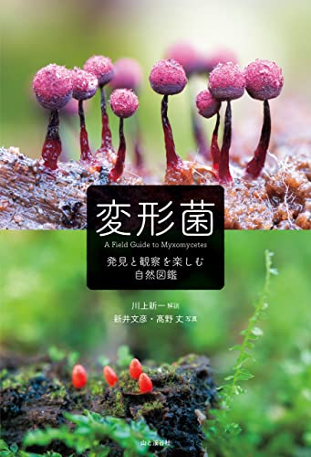 変形菌 発見と観察を楽しむ自然図鑑 川上 新一 新井 文彦 髙野 丈 生物 バイオテクノロジー Kindleストア Amazon