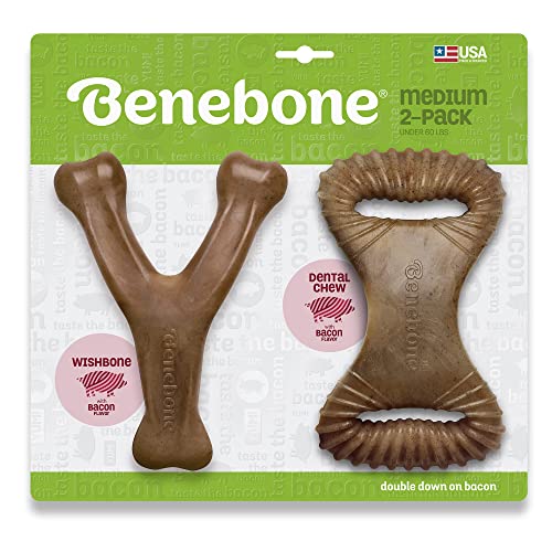 Benebone Medium 2-Pack w/ Wishbone & Dental Chew Bacon Flavor Dog...