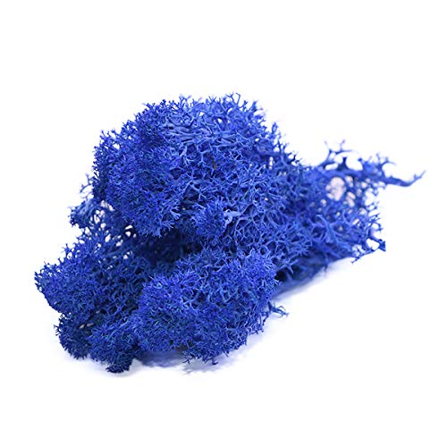 ECYC 20g Artificial Moss Crafts DIY Home Wall Garden Planter Decoration Micro Landscape Ornament