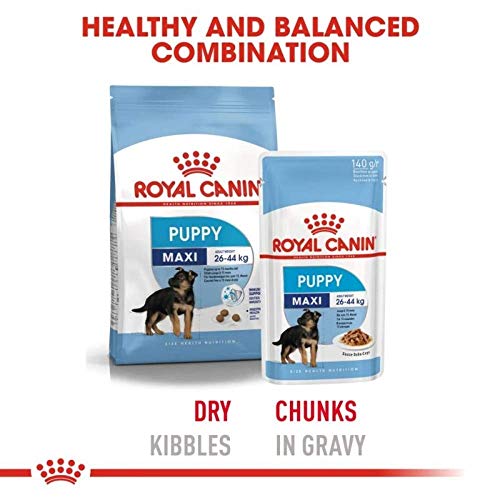 Image of Royal Canin Maxi Puppy, 4 kg & Maxi Puppy Wet Gravy Pouch,14(Packof10) with