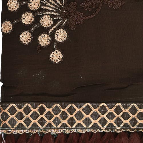 Image of YOUTHQUAKE Heavy Embroidered Work Chiffon Dupatta for Womens & Girls With Fancy Lace