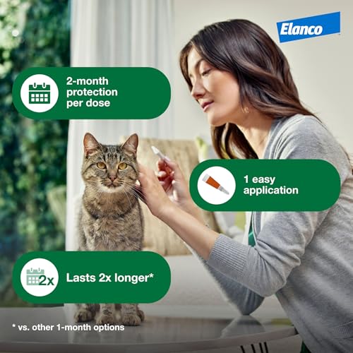 Advantage XD Large Cat Flea Prevention & Treatment For Cats over 9lbs. | 2-Topical Doses, 2-Months of Protection Per Dose - Image 6
