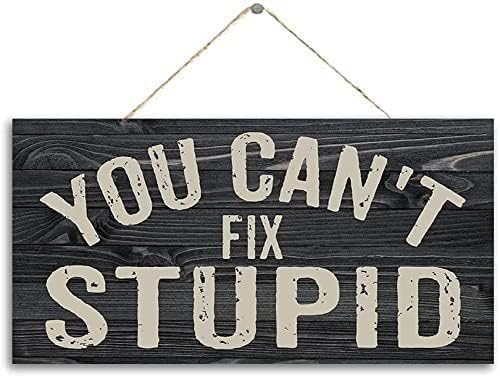 Panneau « You Can't Fix Stupid » pour décoration murale d'intérieur - Panneau à suspendre - Man Cave Home Counter Art Everyday Wisdom