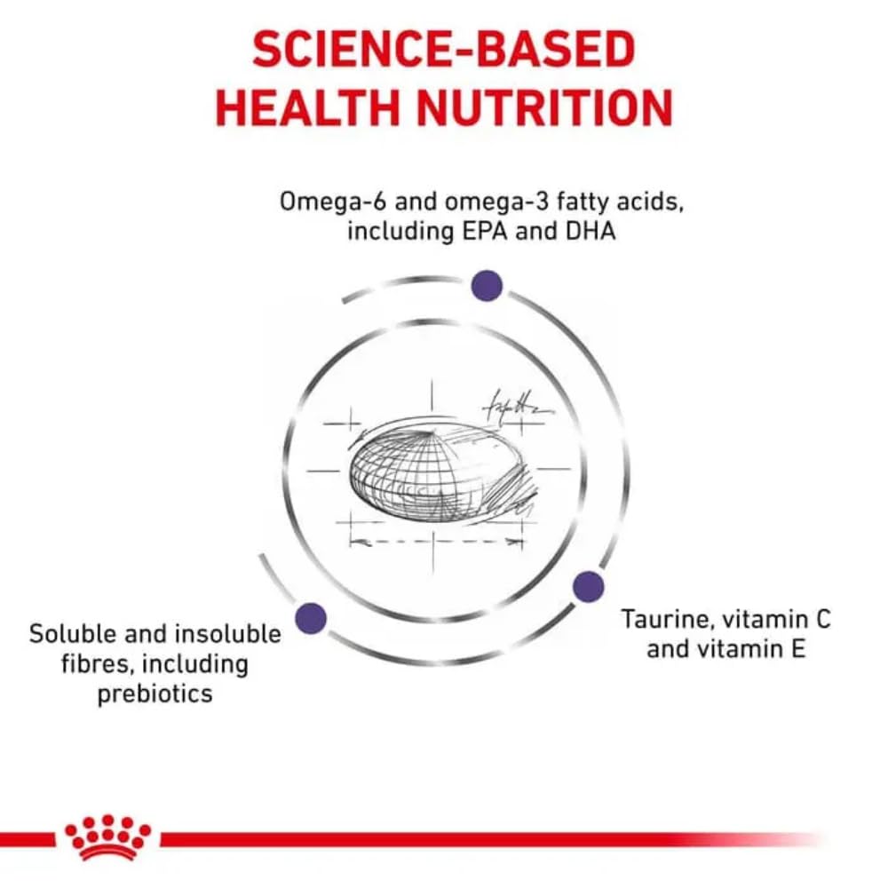 Royal CANIN Alimentos de Mascotas - 4000 gr