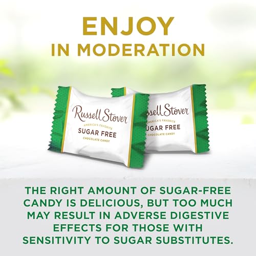Image of RUSSELL STOVER Sugar Free Pecan Delight Chocolate Candy, 4.7 oz. bag