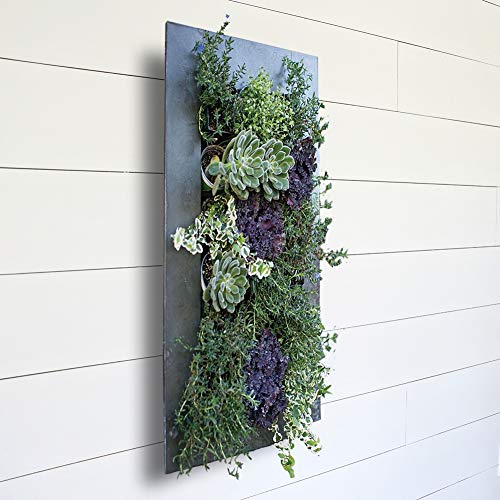 Vandue Modern Home Living Wall Galvanized Steel/Zinc Succulent Planter (Rust Zinc, 12 Pocket) #TOP5