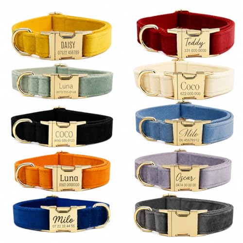 Kiyanest Personalisiertes Samt Hundehalsband, verstellbares Haustierhalsband mit Name und Telefonnummer, Metallschnalle in wählbaren Farben, Halsband Leine oder Geschirr Set